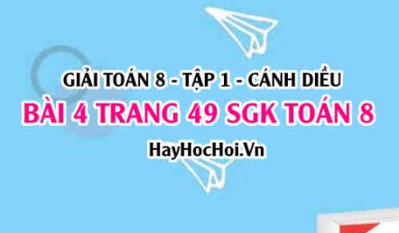 Giải bài 4 trang 49 Toán 8 Tập 1 SGK Cánh Diều